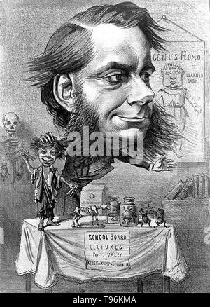 Thomas Henry Huxley (4 mai 1825 - 29 juin 1895) était un biologiste anglais, connu sous le nom de ''Darwin's Bulldog'' pour sa défense de Charles la théorie de l'évolution de Darwin. Huxley's célèbre 1860 Débat avec Samuel Wilberforce a été un moment clé de l'acceptation plus large de l'évolution, et dans sa propre carrière. Huxley a été lente à accepter certaines idées de Darwin, tels que l'étapisme, et était indécis quant à la sélection naturelle, mais malgré cela, il était dans son entier soutien public de Darwin. Banque D'Images