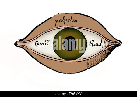 Diagramme de l'œil de Margarita philosophica de Gregor Reisch (1467-1525) était un écrivain humaniste des Chartreux. Son principal travail est le Margarita philosophica, qui est apparu pour la première fois à Fribourg en 1503. C'est une encyclopédie de la connaissance conçue comme un manuel pour les étudiants, et contient en douze livres grammaire latine, la dialectique, la rhétorique, l'arithmétique, la musique, la géométrie, l'astronomie, la physique, l'histoire naturelle, la physiologie, la psychologie et l'éthique. L'utilité de l'ouvrage a été porté par de nombreuses gravures sur bois et d'un index complet. Banque D'Images
