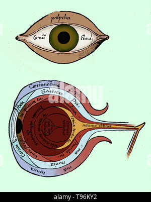 Diagramme de l'œil de Margarita philosophica de Gregor Reisch (1467-1525) était un écrivain humaniste des Chartreux. Son principal travail est le Margarita philosophica, qui est apparu pour la première fois à Fribourg en 1503. C'est une encyclopédie de la connaissance conçue comme un manuel pour les étudiants, et contient en douze livres grammaire latine, la dialectique, la rhétorique, l'arithmétique, la musique, la géométrie, l'astronomie, la physique, l'histoire naturelle, la physiologie, la psychologie et l'éthique. L'utilité de l'ouvrage a été porté par de nombreuses gravures sur bois et d'un index complet. Banque D'Images
