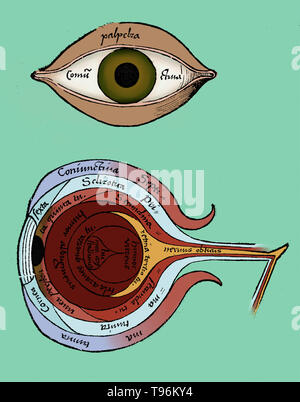 Diagramme de l'œil de Margarita philosophica de Gregor Reisch (1467-1525) était un écrivain humaniste des Chartreux. Son principal travail est le Margarita philosophica, qui est apparu pour la première fois à Fribourg en 1503. C'est une encyclopédie de la connaissance conçue comme un manuel pour les étudiants, et contient en douze livres grammaire latine, la dialectique, la rhétorique, l'arithmétique, la musique, la géométrie, l'astronomie, la physique, l'histoire naturelle, la physiologie, la psychologie et l'éthique. L'utilité de l'ouvrage a été porté par de nombreuses gravures sur bois et d'un index complet. Banque D'Images