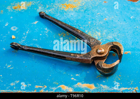 Old rusty tenailles sur un fond bleu, métal rouillé. Leviers de première classe utilisé principalement pour supprimer des objets (typiquement les ongles) à partir de matériaux, en pince Banque D'Images