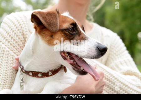 Femme avec cute funny dog outdoors, gros plan Banque D'Images