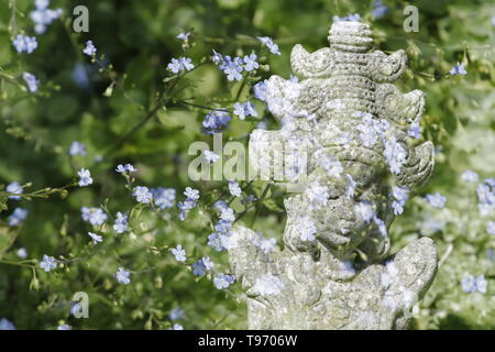 statue of harvest goddess with forget me not flowers in a double exposure Banque D'Images