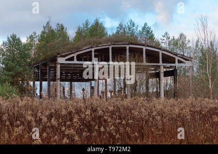Ancien hangar hangar abandonné, en ruines dans la forêt Banque D'Images
