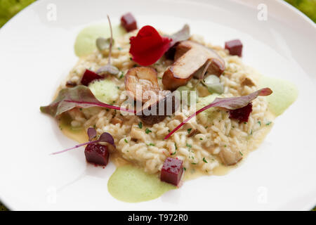 Risotto aux cèpes poêlés on white plate Banque D'Images