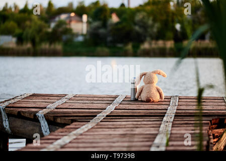 Mignon lapin doux avec un thermos sur le quai près du lac dans la lumière du soleil. Copier l'espace. Banque D'Images