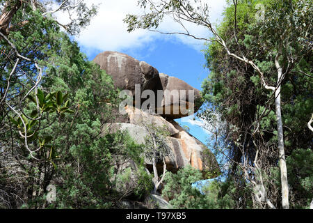 Deux roches sur une falaise, dans une forêt d'eucalyptus au nord de Tamworth Australie. Banque D'Images
