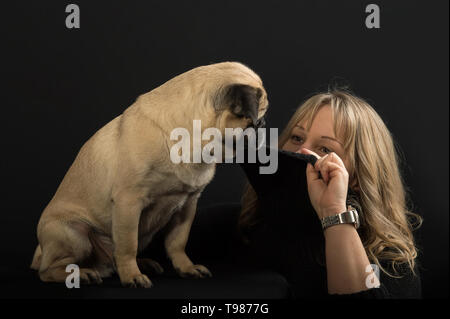 Un petit chien (PUG) est assis en face de l'arrière-plan noir. Une femme blonde joue à cache-cache. Elle tire sur le col roulé sur son visage. Banque D'Images