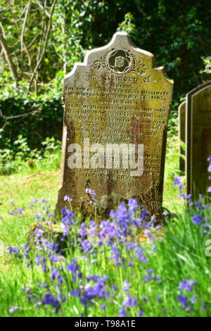 Pierre tombale & Bluebells, Mont Olivet Chapelle, Hebden Bridge Banque D'Images