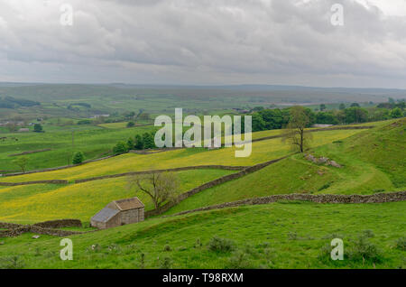 Près de terres agricoles Kirkcarrion, Middleton-in-Teesdale, Yorkshire, Angleterre Banque D'Images