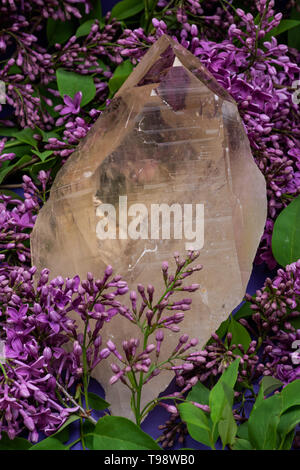 Immense Cathédrale Citrine Quartz du Brésil entouré de fleurs lilas pourpre. Banque D'Images