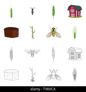 Fly,grenier,printemps, pain, l'orge d'hiver,souches,insectes,spike,bâtiment,,root,dur,lutte,industrie,brown, contrôle,,farine,automne,sols,stop,graines,sain,Culture,ailes,son,glucides croître,blé,agriculture,agriculture,plantes,seigle blé,maïs,grain,récolte,ferme,,champ,set,icône,,illustration,collection,isolé,design,graphisme,élément vecteur vecteurs,signer , Illustration de Vecteur