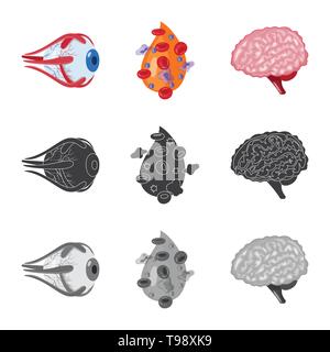 Globe oculaire,,sang,le cerveau,oeil,plasma,esprit cornée,cell,veille stratégique,couches,couvrir,science,don,structure,psychologie,maladie,vue,génie,Protection,moteur,pericranium,pression,traitement,gyrus,wit,génétique,infection prophylaxie,réflexion,biologie,scientifique,recherche,,laboratoire anatomie,organe interne,,médical,des,santé,,set,icône,,illustration,collection,isolé,design,graphisme,élément vecteur vecteurs,signer , Illustration de Vecteur