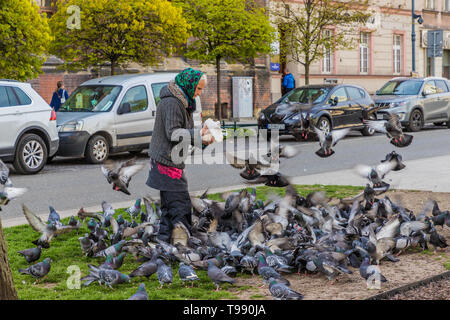 Une femme se nourrir les pigeons à Cracovie Pologne Banque D'Images