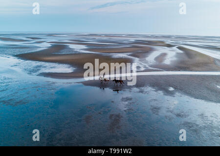 Des photos aériennes de cavaliers dans la mer des Wadden, à marée basse, Sankt Peter-Ording, Schleswig-Holstein, Allemagne Banque D'Images