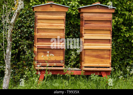 Des ruches dans les motifs d'Anne Hathaway's Cottage, Shottery, Stratford-upon-Avon, Angleterre, Royaume-Uni, Europe Banque D'Images