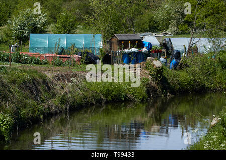 Section de la rivière qui coule sereinement par flèche, Alcester Warwickshire, Angleterre, Royaume-Uni, Europe Banque D'Images