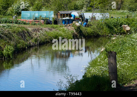 Section de la rivière qui coule sereinement par flèche, Alcester Warwickshire, Angleterre, Royaume-Uni, Europe Banque D'Images