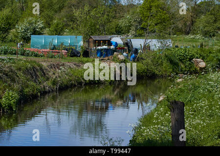 Section de la rivière qui coule sereinement par flèche, Alcester Warwickshire, Angleterre, Royaume-Uni, Europe Banque D'Images