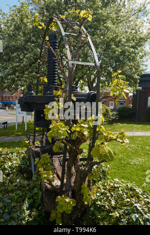 Appuyez sur Fonction du vin à l'extérieur de la bibliothèque et musée Alcester, dans la vallée d'Evesham, England, Royaume-Uni, Europe Banque D'Images