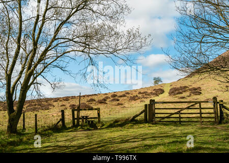 Belle promenade à travers le parc national des North York Moors avec des arbres, des herbes, avec stile et porte dans le ressort dans le trou de Horcum, Goathland, Yorkshire, UK. Banque D'Images