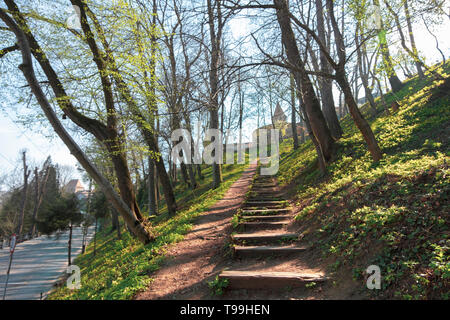 Marches de bois sur la colline remplie de fleurs, menant à la tour du boucher à Sighisoara, tour construite au xve siècle. Banque D'Images