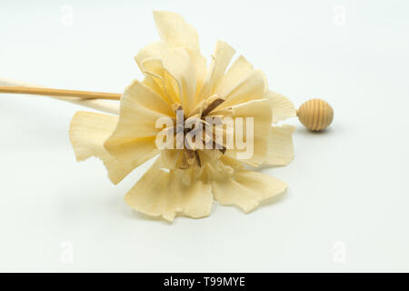 C'est une capture d'un beige handmade fleurs artificielles et un fond blanc pris dans un éclairage de studio Banque D'Images