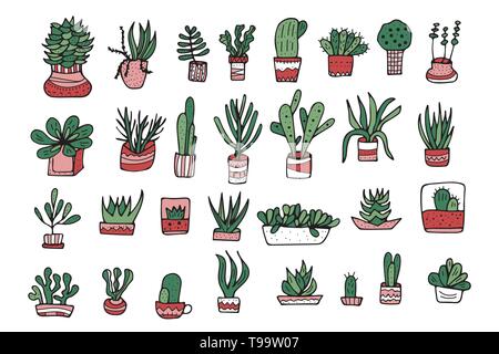 Plantes Succulentes dans doodle style. Ensemble de plantes d'intérieur. Affiches, bannières, cartes de vœux, d'imprimer les éléments bloqués. Vector illustration couleur. Illustration de Vecteur