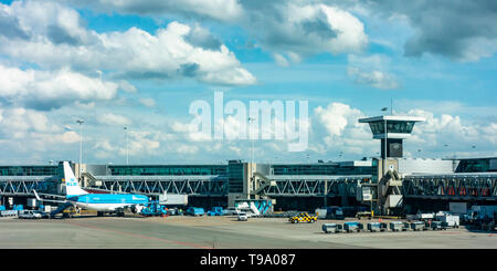 L'extérieur de l'aéroport de Schiphol, Amsterdam, Pays-Bas, montrant un avion KLM Boeing 737-8BK omn le tablier, chariots à bagages, véhicules de soutien Banque D'Images