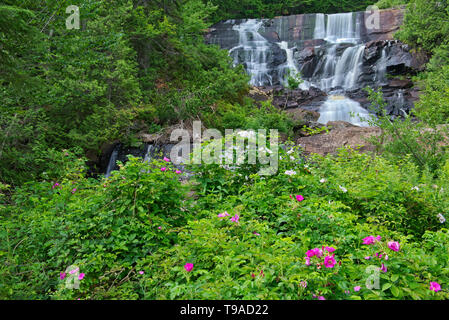Chute aux rats Le Parc national du Mont Tremblant Quebec Canada Banque D'Images