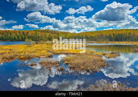 Les nuages reflètent dans le lac Arrowhead, Arrowhead Provincial Park, Ontario, Canada Banque D'Images