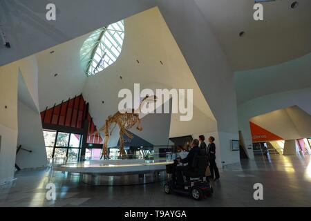 Beijing, l'Australie. 16 mai, 2019. Les visiteurs voir un fossile de dinosaure au Musée National d'Australie, à Canberra, Australie, le 16 mai 2019. Le 18 mai marque la Journée internationale des musées. Credit : Chu Chen/Xinhua/Alamy Live News Banque D'Images