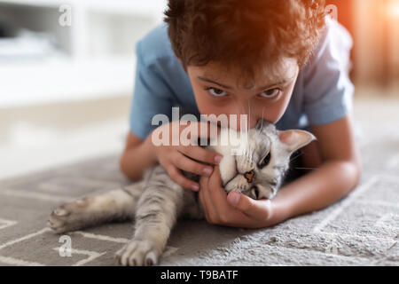 Adorable petit enfant jouant avec British shorthair gris sur un tapis à la maison Banque D'Images