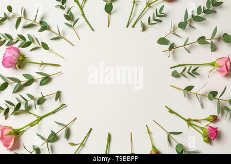 Cadre fait de belles roses et des branches d'eucalyptus sur fond blanc Banque D'Images