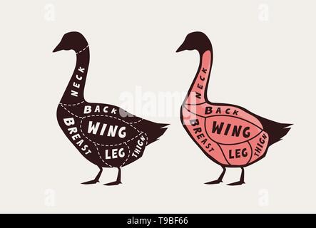Coupe de viande, de l'oie. Poster butcher et schéma de régime, vector illustration Illustration de Vecteur