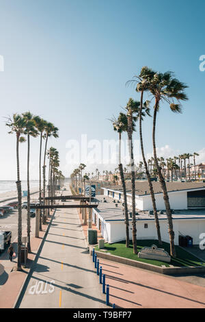 Vue sur les palmiers et la rue le long de la plage en bordure de l'océan, le comté de San Diego, Californie Banque D'Images