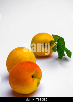 Fruits à l'abricot avec feuille verte isolée sur fond blanc, copy space Banque D'Images