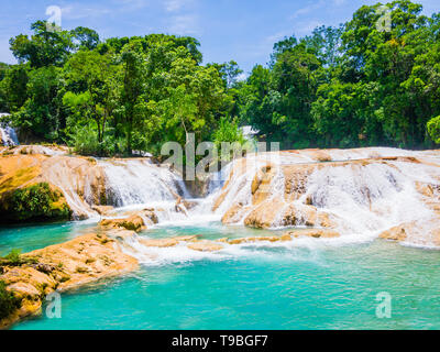 Vue imprenable sur les chutes d'Agua Azul dans la luxuriante forêt tropicale du Chiapas, Mexique Banque D'Images