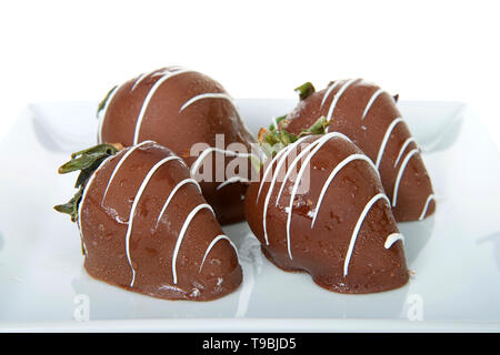 Close up sur quatre Fraises Juteuses trempée dans du chocolat au lait arrosée de chocolat blanc sur un plateau isolé sur blanc. Banque D'Images