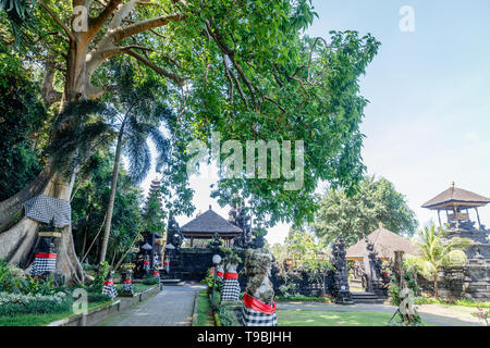 De grands arbres près de Pura Goa Lawah ('Bat Cave Temple'), Balinais temple hindou de Pesinggahan, Klungkung, Bali, Indonésie. Banque D'Images