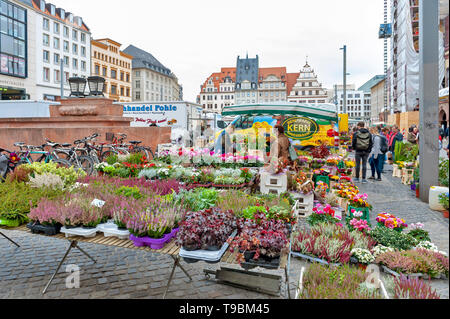 Leipzig, Allemagne - Octobre 2018 : Plantes et fleurs cale au Marktplatz, la place du marché en centre-ville de Leipzig en Allemagne Banque D'Images