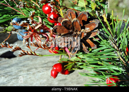 Couronne de Noël avec des baies sauvages (baies d'épine et dog rose baies), les cônes de pin gris, avec surface en bois, Close up detail Banque D'Images