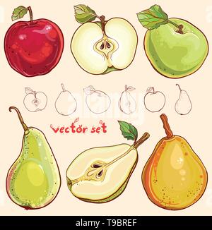 Illustration vecteur lumineux de pommes et poires. Seul le pommier et le poirier, partie de pomme et poire, isolé, colorés et silhouette de fruits. Illustration de Vecteur