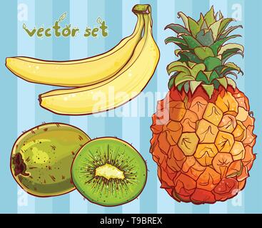 Vector illustration avec Juicy Fruits tropicaux : ananas, banane, kiwi. Seule la banane, kiwi, ananas, partie de kiwi, isolés, et les grandes lignes de couleur d Illustration de Vecteur