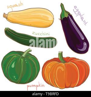 Vector illustration freehand coloré de légumes : aubergine, potiron, courges et courgettes. Set Design eps 10. Illustration de Vecteur