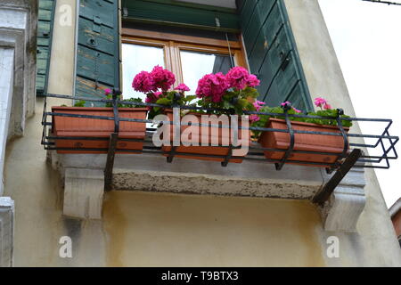 Italie/Venise - 20 Avril 2014 : Décoration d'une chambre de Venise avec le géranium fleurs vases en plastique posés sur les vieux balcons dans une journée de printemps ensoleillée. Banque D'Images