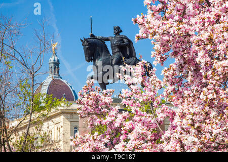 Magnolia blossom et roi Tomislav statue à Zagreb, Croatie, au printemps, les sites populaires dans la capitale Croate Banque D'Images