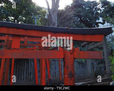 Angefaultes rotes Tor Torii suis Schrein Nezu à Tokyo au Japon Banque D'Images