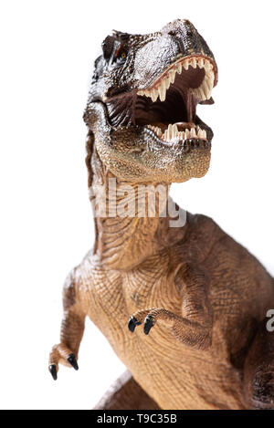 Figurine en plastique de Tyrannosaurus rex close up on white background Banque D'Images