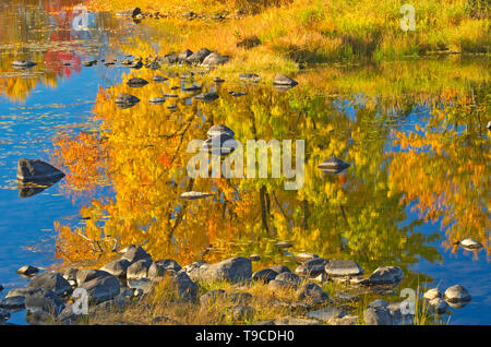 Couleurs d'automne et les rochers le long de la rivière Vermilion dans le district de Sudbury. La rivière se jette dans le lac Huron, Ontario Canada Whitefish Banque D'Images